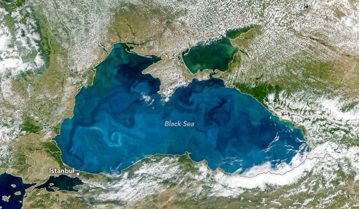 NASA Satellites Catch the Black Sea Turning Turquoise in a Stunning Phytoplankton Bloom